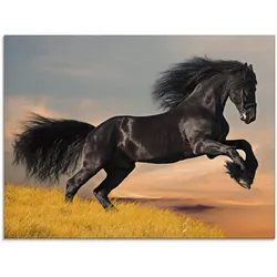 Glasbild ARTLAND "Friesischer Hengstgalopp", schwarz (farbe bild(er): schwarz), B:60cm H:45cm, Bilder, in verschiedenen Größen