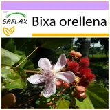 Saflax - Lippenstift - Strauch - Bixa orellena