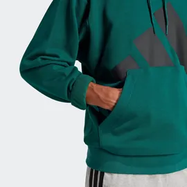 adidas Essentials Big Logo French Terry Kapuzenpullover Collegiate Green / Black L