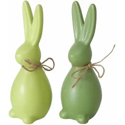 Hase PADDY