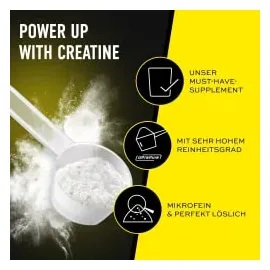 ESN Ultrapure Creatine Monohydrate Pulver 500 g