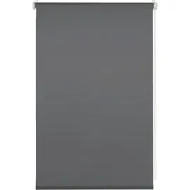 GARDINIA Seitenzugrollo Uni Klemmrollo 90 x 150 cm grau