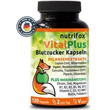 Nutrifox® - 120 Blutzucker Kapseln Vital Plus (Ceylon-Zimt, Chrom, Zink, OPC, Bittermelone, Bockshornkleesamen, Kurkuma, Ingwer, Vitamin B-Komplex, usw.) 2 Monate, von Beratern für Diabetes