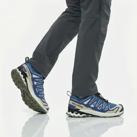 Salomon XA Pro 3D V9 GTX Herren Dark Blue/Icicle/Aloe 44