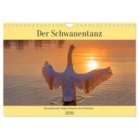 Calvendo Der Schwanentanz (Wandkalender 2026 DIN A4 quer), CALVENDO