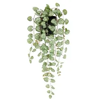 I.ge.a I.GE.A. Kunstpflanze Leuchterblume im Kunststoff-Topf, ca. H23 cm,