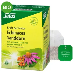 Echinacea Sanddorn Tee Kraft der Natur Salus Fi.b.