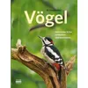 Vögel