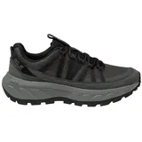 Jack Wolfskin Wild Hike Texapore Low Wanderschuhe - Black / Phantom - EU 42 1/2