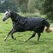 Bucas Weidedecke Irish Turnout Light 50g 120 cm Schwarz/Gold