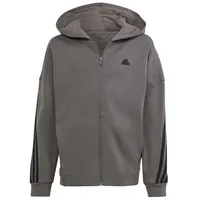 Adidas Kinder Kapuzensweat Future Icons 3-Streifen, CHACOA/BLACK, 140