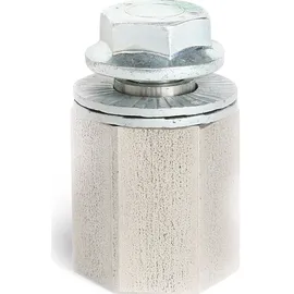 Thule Chariot Kinderanhänger silber 2025