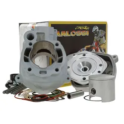 Zylinder Kit Malossi MHR Team 80cc Minarelli AM6
