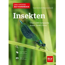 BLV Verlagsgesellschaft GmbH Das große BLV Handbuch Insekten