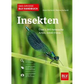 BLV Verlagsgesellschaft GmbH Das große BLV Handbuch Insekten
