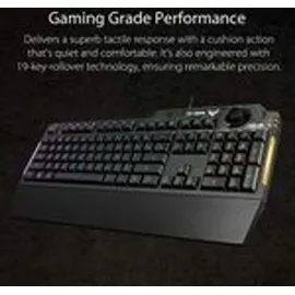Asus Tastatur K1 Gaming Keyboard französisches Layout 90MP01X0-BKFA00, Schwarz