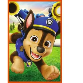 Trefl Paw Patrol, Puzzles 3x80 Teile,
