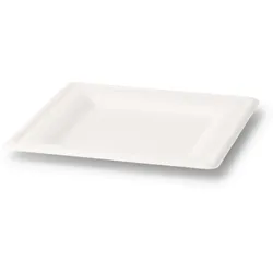 BIOZOYG 200 Stück Einwegteller quadratisch 20x20cm Bio Geschirr Zuckerrohr Teller stabil biologisch abbaubar kompostierbar Bagasse Einwegteller