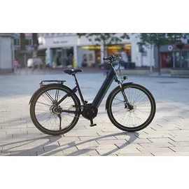 Prophete Geniesser 4.0 28 Zoll RH 48 cm Schwarz