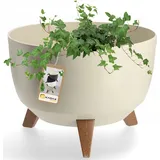 Kadax Blumentopf aus Kunststoff mit drei Einsteckstützen, 33 cm, baumwollfarbe