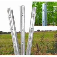 Trutzholm Z-Profil Zaunpfosten 215 cm verzinkt 10x Zaunpfähle inkl. Haken Forstprofil
