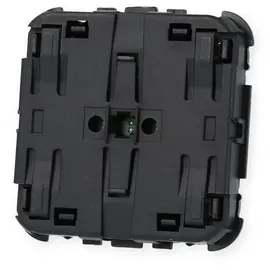 Busch-Jaeger Bedienelement 2-fach 64721 (2CKA006400A0100)