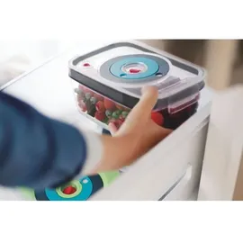 Bosch Frischhaltedose rechteckig schwarz/blau/transparent 2 x 1,2 l