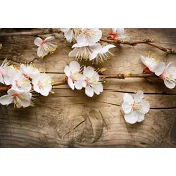Fototapete PAPERMOON "Blumen auf Holz", bunt, B:4,50m L:2,80m, Vlies, Tapeten