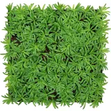 JANGAL Wandpaneel Jangal Modular Wall grün 2 St. 52 x 52 cm