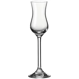 LEONARDO Daily Grappaglas 0,1 l 12 St.