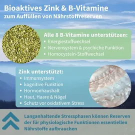 Igennus Healthcare Nutrition hochdosierter Ashwagandha Anti-Stress Komplex Kapseln 60 St.