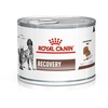 Recovery Canine & Feline 195 g