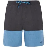 Protest Badeshorts PRTFreddie River Blue M