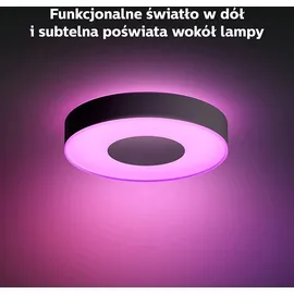 Philips Hue White & Color Ambiance Infuse 38,1 cm schwarz