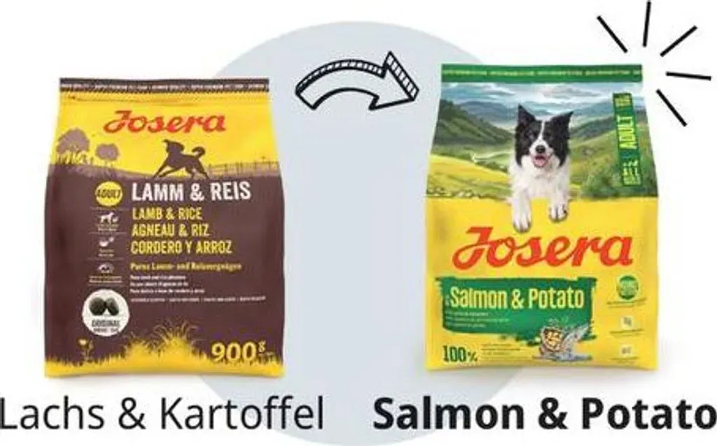 rundes hundebett Luxus Hundebett rund fr kleine Hunde