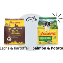 Josera Lachs & Kartoffel 5 x 900 g