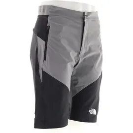 The North Face Herren Felik Slim Tapered Shorts (Größe S, grau)