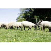 Kerbl 27351 Titan Light Net, Einzelspitze, 50m x 90cm