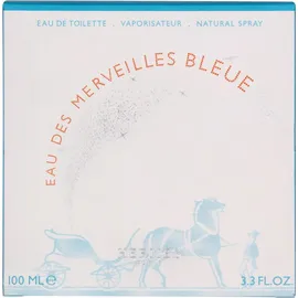 Hermès Eau des Merveilles Bleue Eau de Toilette 100 ml