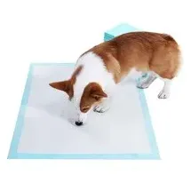 Songmics Welpen-Hygienepads 60 x 90 cm 100 Stk