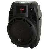 Ibiza PA Musikanlage, USB/SD, Bluetooth Mikrofon, Fernbedienung