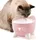 Catit Pixi Trinkbrunnen pink