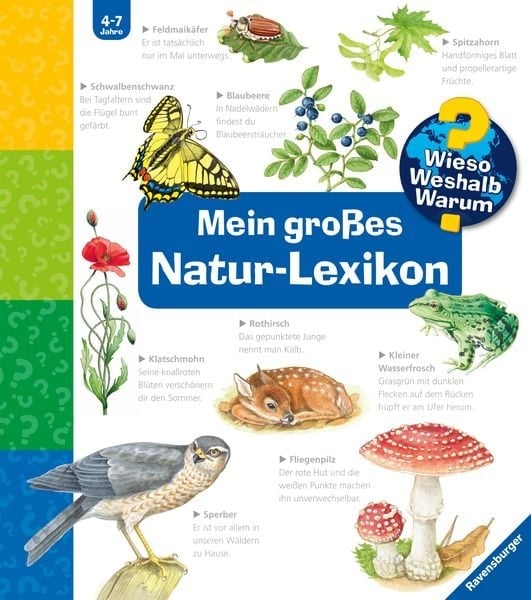 Preisvergleich Produktbild Wieso Weshalb Warum: Mein großes Natur-Lexikon