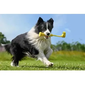 INSTA360 GO 3 Fetch Stick