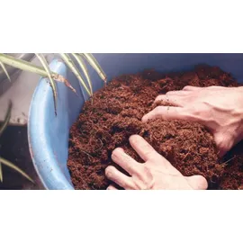 Biovita Kokosnussfaser für Pflanzen und Blumen 10 mm 5l