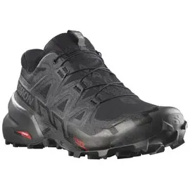 Salomon Speedcross 6 Gore-Tex Herren Black/Phantom 45 1/3