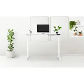 Schaff Schreibtisch REC elektrisch höhenverstellbar / Weiß