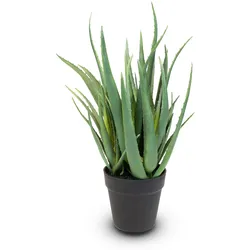 Aloe Vera Kunstpflanze, Höhe 50 cm