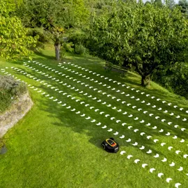 Kärcher Mähroboter RCX 6 bis zu 3.000 m2