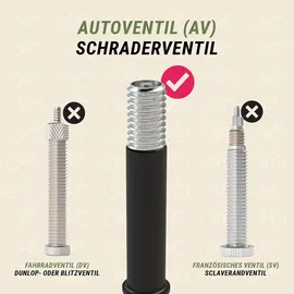 Prophete Schlauch 26 Zoll 1,75 - 2,125 Autoventil